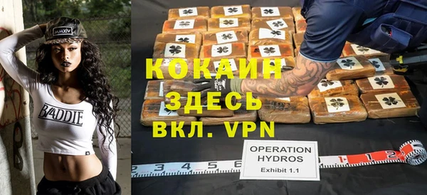 твердый Касимов