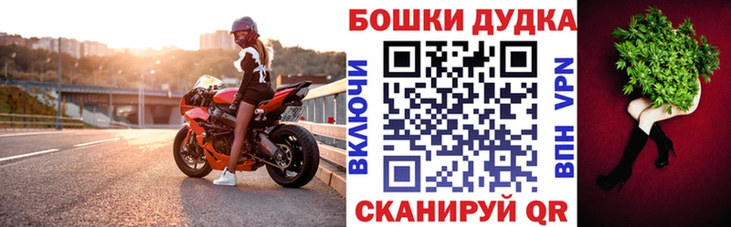 Конопля сатива Светогорск